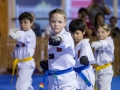 tkd - kids 7plus front stance punch.jpg