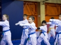 tkd - kids 7plus group horse stance punch3.jpg