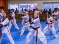 tkd - kids 7plus group horse stance punch5.jpg