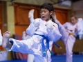 tkd - kids 7plus kick.jpg