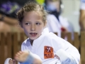 tkd - kids 7plus kick5.jpg