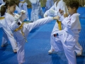 tkd - kids 7plus spar9.jpg