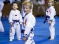 tkd - kids 4to6 front stance low block.jpg