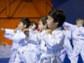 tkd - kids 4to6 guard up2.jpg