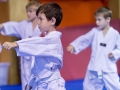 tkd - kids 4to6 horse stance punch.jpg