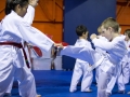 tkd - kids 4to6 pad kick.jpg