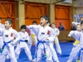 tkd - kids 7plus group horse stance punch2.jpg