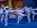 tkd - kids 7plus group kicking.jpg