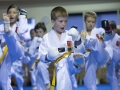 tkd - kids 7plus kick13.jpg