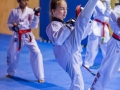 tkd - kids 7plus kick6.jpg