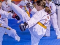 tkd - kids 7plus spar7.jpg