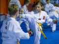 tkd - kids 7plus spar8.jpg