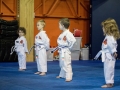 tkd - kids explorers in line.jpg