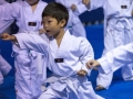 tkd - kids 4to6 front stance punch.jpg