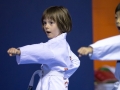 tkd - kids 4to6 horse stance punch2.jpg