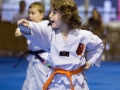 tkd - kids 4to6 horse stance punch5.jpg