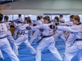 tkd - adults poomse3.jpg