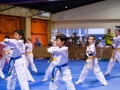 tkd - kids 7plus group horse stance punch.jpg