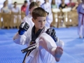 tkd - kids 7plus kick7.jpg