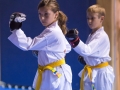 tkd - kids 7plus poomse2.jpg