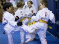 tkd - kids 7plus spar4.jpg