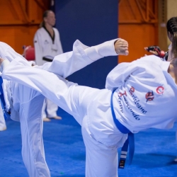 tkd - adults spar1.jpg