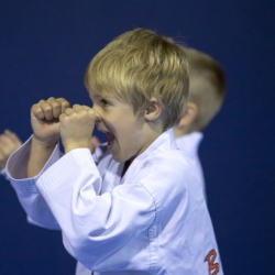 tkd - kids 4to6 guard up.jpg