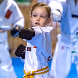 tkd - kids 4to6 horse stance punch11.jpg