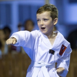 tkd - kids 4to6 horse stance punch4.jpg