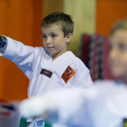 tkd - kids 4to6 horse stance punch8.jpg