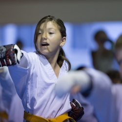 tkd - kids 7plus front stance punch3.jpg