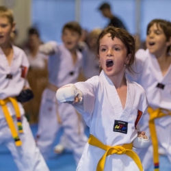 tkd - kids 7plus group horse stance punch4.jpg