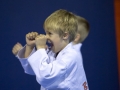 tkd - kids 4to6 guard up.jpg