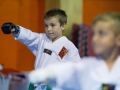 tkd - kids 4to6 horse stance punch8.jpg