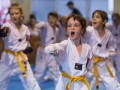 tkd - kids 7plus group horse stance punch4.jpg