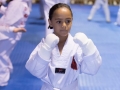 tkd - kids 7plus guard up.jpg