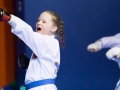 tkd - kids 7plus horse stance punch3.jpg