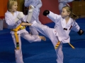 tkd - kids 7plus sparring2.jpg